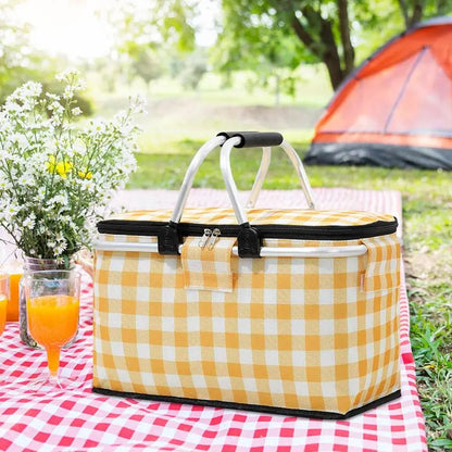 Folding Insulated Picnic Bag