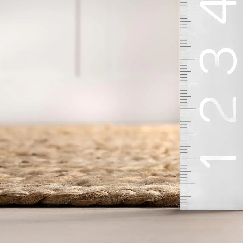 Natural Rigo Jute Hand Woven Area Rug (3' x 5')
