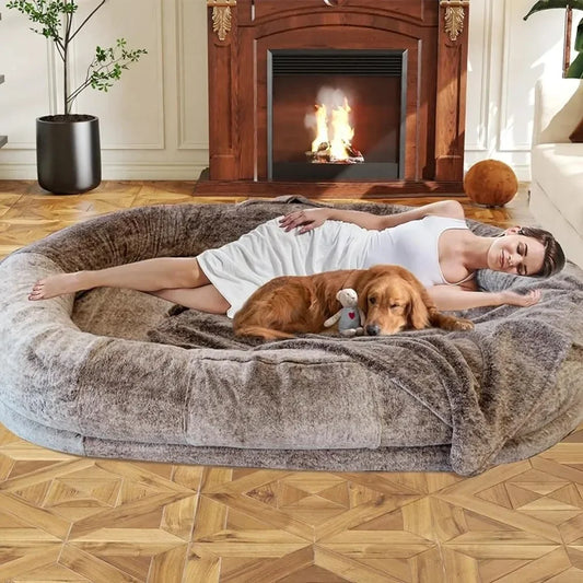 Velvet and Memory Foam Human Size Dog Bed With Blanket & Pillow